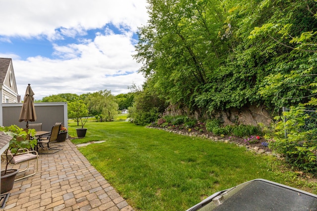 17 Saint George Pl Unit 17, Newtown, CT 06482 - view of green lawn featuring a patio area