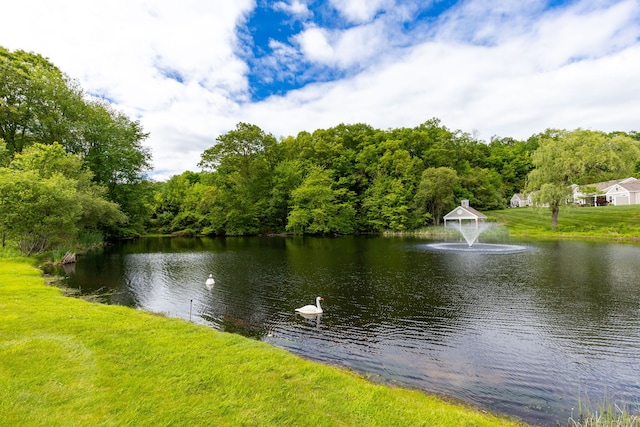 17 Saint George Pl Unit 17, Newtown, CT 06482 - water view with a heavily wooded area