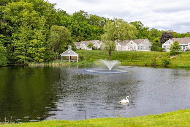 17 Saint George Pl Unit 17, Newtown, CT 06482 - water view