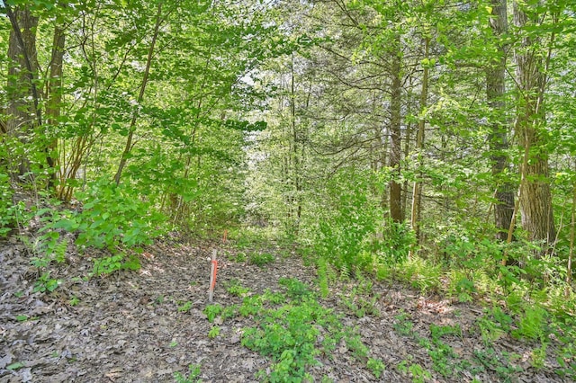 LOT6 Ratlum Mountain Rd, Barkhamsted, CT 06063 - view of wooded area