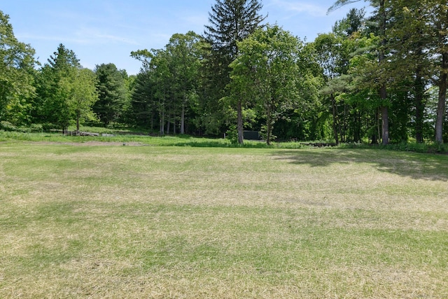 6 Turnpike Rd, Somers, CT 06071 - view of yard