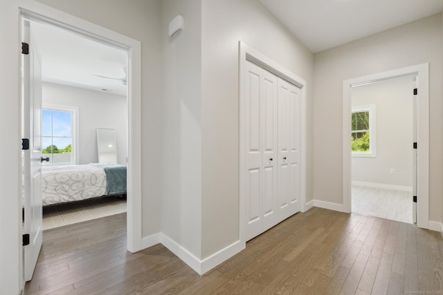 6 Turnpike Rd, Somers, CT 06071 - hall with wood finished floors, healthy amount of natural light, and baseboards