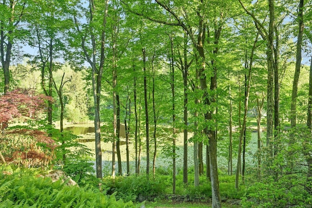 25 Ketcham Rd, Ridgefield, CT 06877 - view of tree filled area