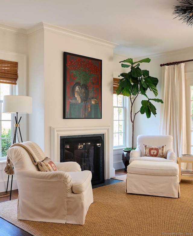 200 Sharon Mountain Rd, Sharon, CT 06069 - living area with ornamental molding, healthy amount of natural light, and a glass covered fireplace