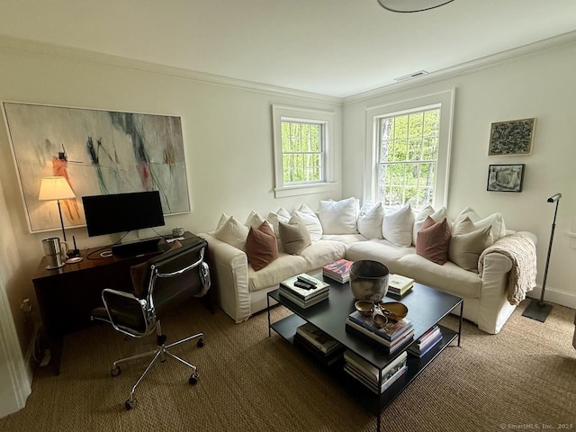 200 Sharon Mountain Rd, Sharon, CT 06069 - carpeted living area with ornamental molding