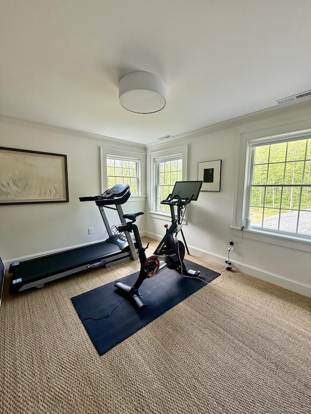 200 Sharon Mountain Rd, Sharon, CT 06069 - exercise area with carpet floors, ornamental molding, plenty of natural light, and baseboards