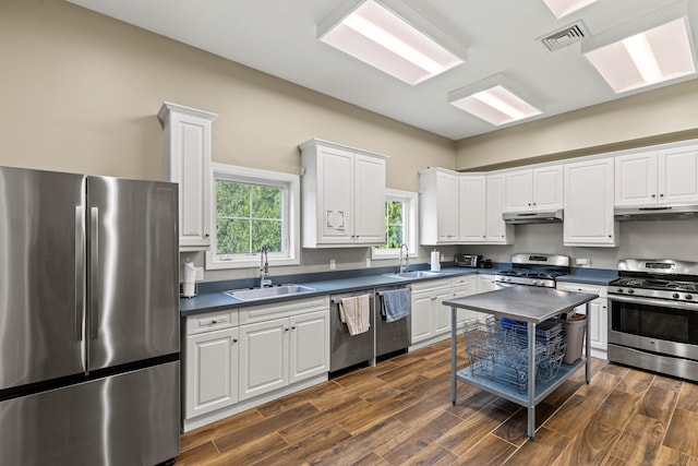24 Boulder Trl, Killingworth, CT 06419 - kitchen with stainless steel appliances, a sink, under cabinet range hood, and dark countertops