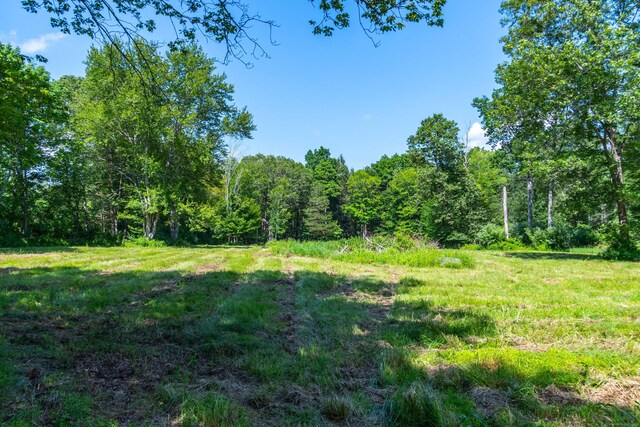 156 Ballamahack Rd, Windham, CT 06280 - view of woods