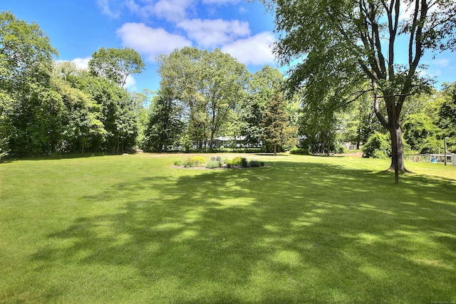 85 Oakridge Rd, Trumbull, CT 06611 - view of green lawn
