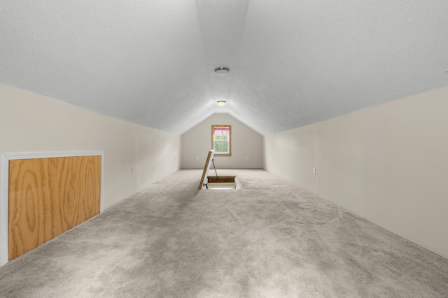 10 Paddock Pl, Milford, CT 06461 - additional living space featuring lofted ceiling, carpet floors, and a textured ceiling