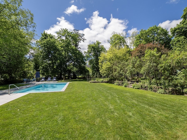 304 Main St, Ridgefield, CT 06877 - view of green lawn with an outdoor pool and view of wooded area