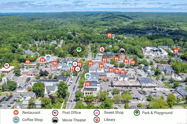 304 Main St, Ridgefield, CT 06877 - bird's eye view of a heavily wooded area