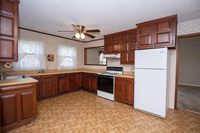 7 Cheryl Ave, Wallingford, CT 06492 - kitchen featuring freestanding refrigerator, electric range oven, a sink, crown molding, and a ceiling fan