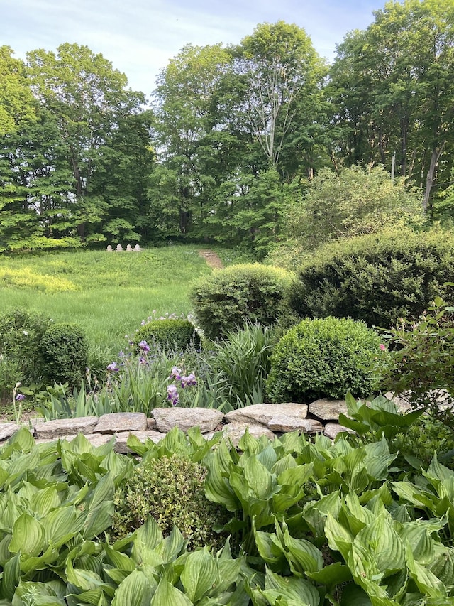 118 Sanfordtown Rd, Redding, CT 06896 - view of yard