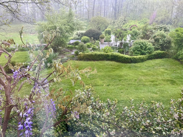 118 Sanfordtown Rd, Redding, CT 06896 - view of green lawn