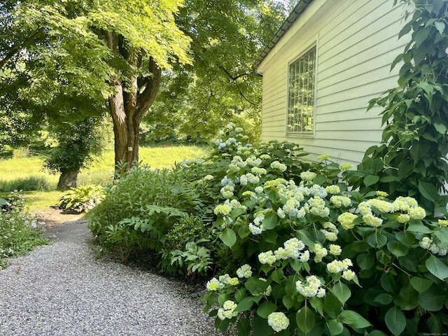 118 Sanfordtown Rd, Redding, CT 06896 - view of yard