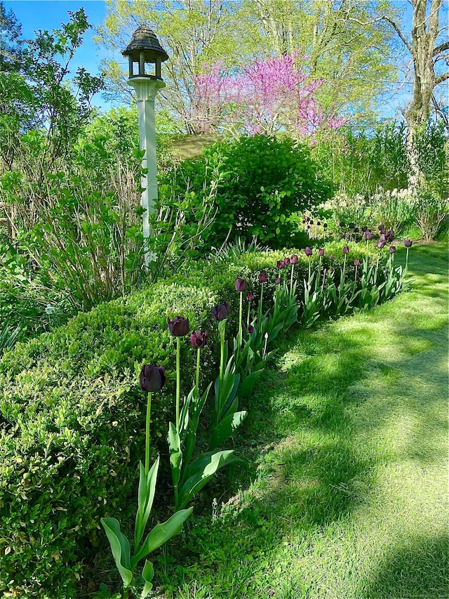118 Sanfordtown Rd, Redding, CT 06896 - view of yard