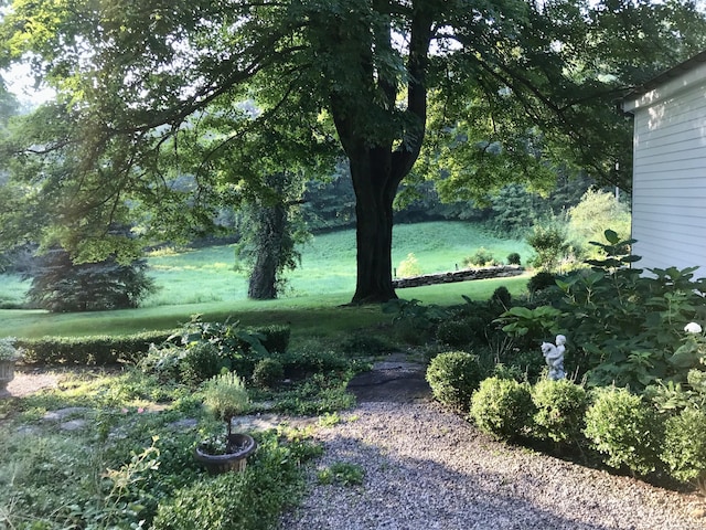 118 Sanfordtown Rd, Redding, CT 06896 - view of grassy yard