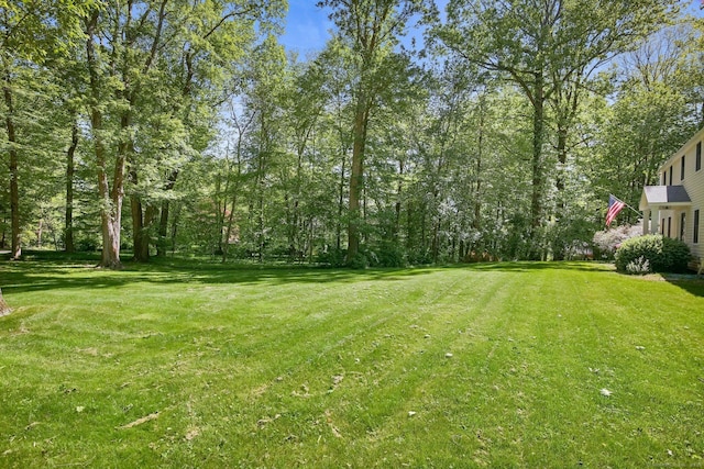 11 Ledgewood Rd, Redding, CT 06896 - view of grassy yard