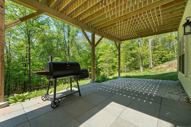 26 Hunting Ridge Rd, Brookfield, CT 06804 - view of patio