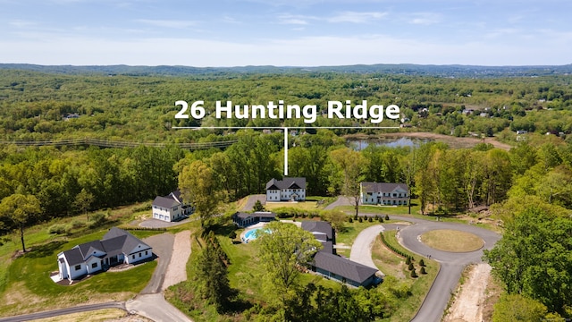 26 Hunting Ridge Rd, Brookfield, CT 06804 - drone / aerial view of a forest