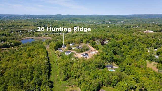 26 Hunting Ridge Rd, Brookfield, CT 06804 - aerial view of a heavily wooded area
