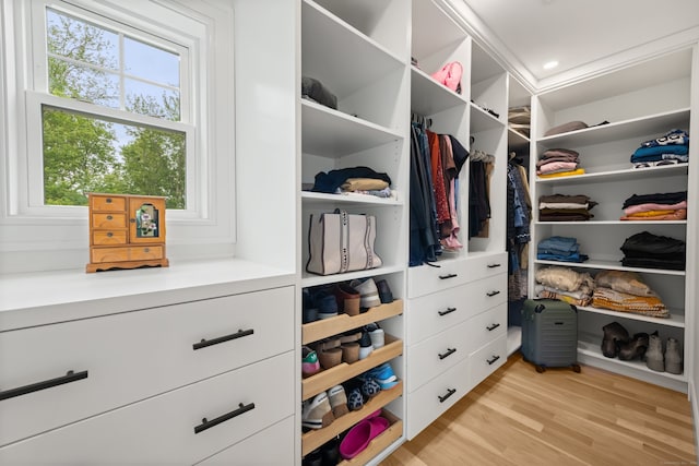 26 Hunting Ridge Rd, Brookfield, CT 06804 - walk in closet featuring light wood-type flooring