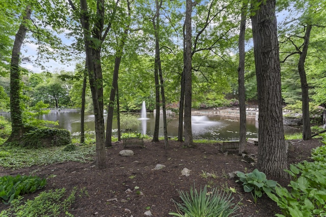 50 Aiken St Apt 465, Norwalk, CT 06851 - view of yard featuring a water view