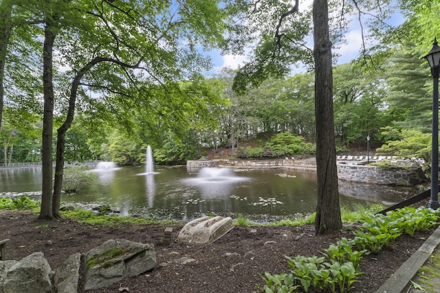 50 Aiken St Apt 465, Norwalk, CT 06851 - water view
