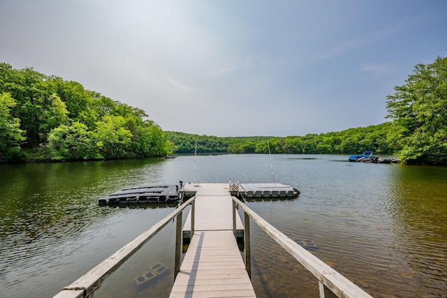 218 Kuhne Rd, Southbury, CT 06488 - dock with a view of trees and a water view
