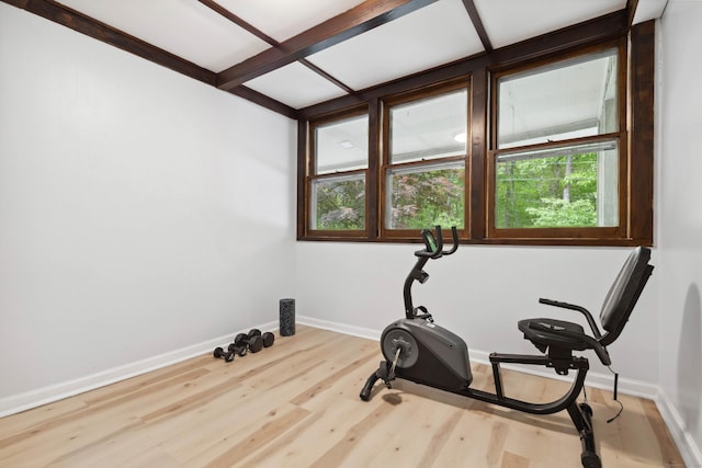 35 Old Acres Rd, East Haddam, CT 06469 - exercise room featuring baseboards and wood finished floors