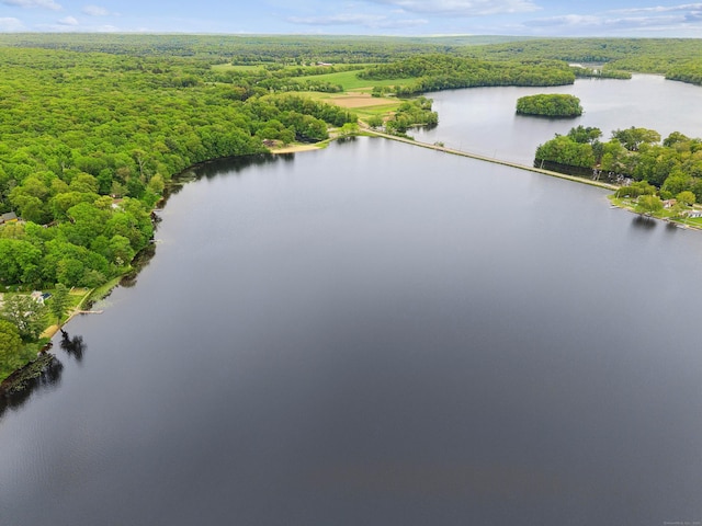 35 Old Acres Rd, East Haddam, CT 06469 - drone / aerial view of a forest and a large body of water