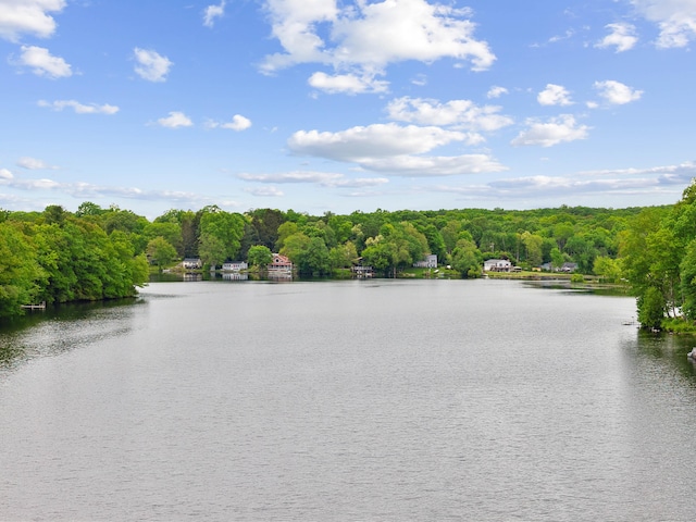 35 Old Acres Rd, East Haddam, CT 06469 - water view with a forest