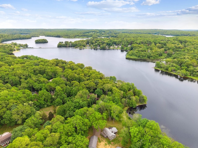 35 Old Acres Rd, East Haddam, CT 06469 - bird's eye view of a heavily wooded area and a nearby body of water