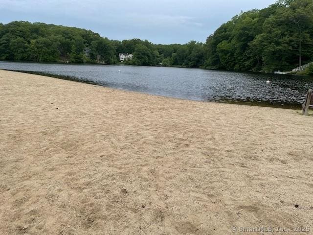 38 Dinwoodie Dr, North Branford, CT 06471 - photo 21