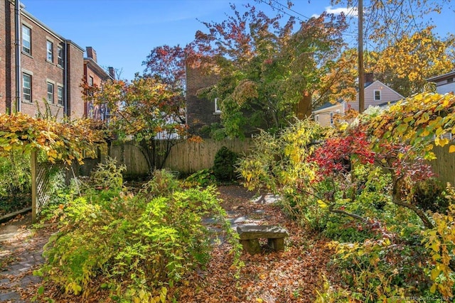 8 Academy St, New Haven, CT 06511 - view of yard