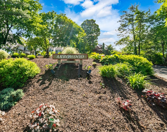 20 E Pembroke Rd Unit 55, Danbury, CT 06811 - view of yard