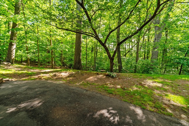 20 E Pembroke Rd Unit 55, Danbury, CT 06811 - view of tree filled area
