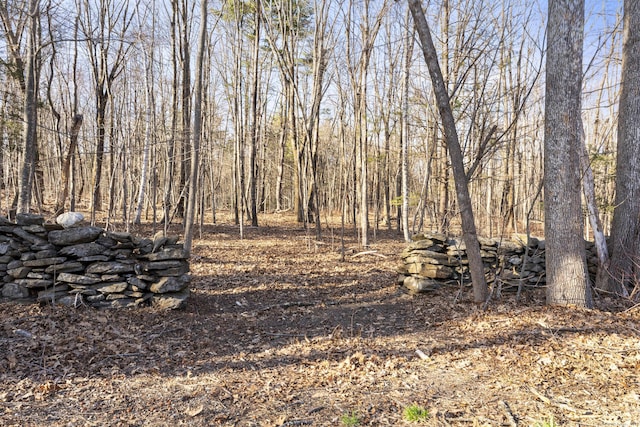 000 Joy Rd, Woodstock, CT 06281 - view of local wilderness