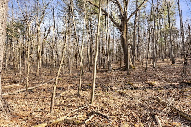 000 Joy Rd, Woodstock, CT 06281 - view of nature