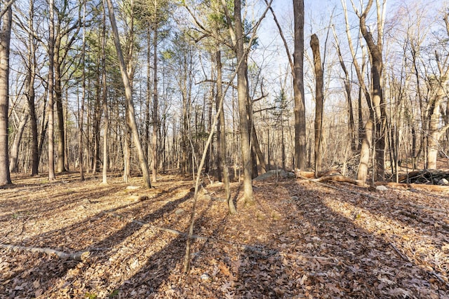 000 Joy Rd, Woodstock, CT 06281 - view of local wilderness