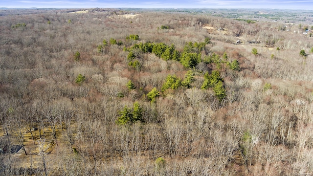 000 Joy Rd, Woodstock, CT 06281 - bird's eye view of a forest