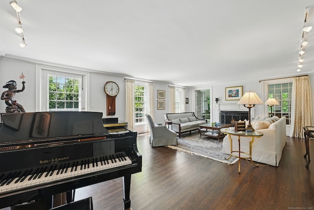 276 Greenley Rd, New Canaan, CT 06840 - living area featuring rail lighting, dark wood-style flooring, a lit fireplace, and ornamental molding