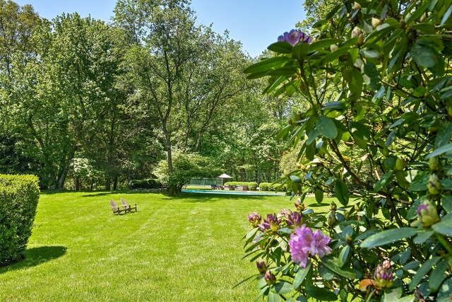 276 Greenley Rd, New Canaan, CT 06840 - view of green lawn