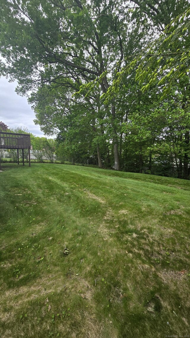 19 Woodmere Rd, Waterbury, CT 06705 - photo 22