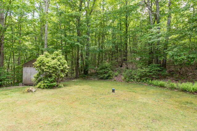 4 Leopard Dr, Newtown, CT 06482 - view of green lawn with a wooded view