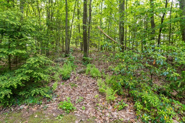 4 Leopard Dr, Newtown, CT 06482 - view of tree filled area