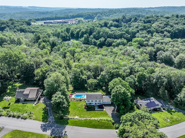 7 Broadview Rd, Brookfield, CT 06804 - aerial view of a forest and a pool area