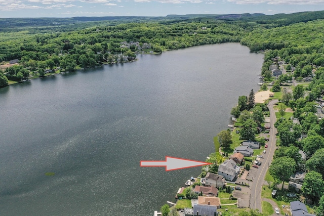 22 Lake Shore Dr, Middlefield, CT 06455 - aerial view of a heavily wooded area and a large body of water