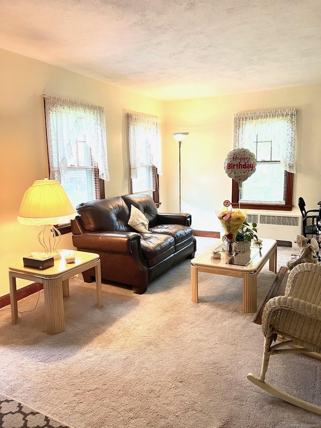 13 Oak St, Wolcott, CT 06716 - carpeted living area with radiator and a textured ceiling